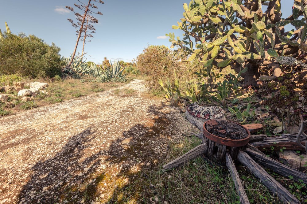 Urban Exploration – The Cactus Ranch – AUTOPSY OF ADELAIDE