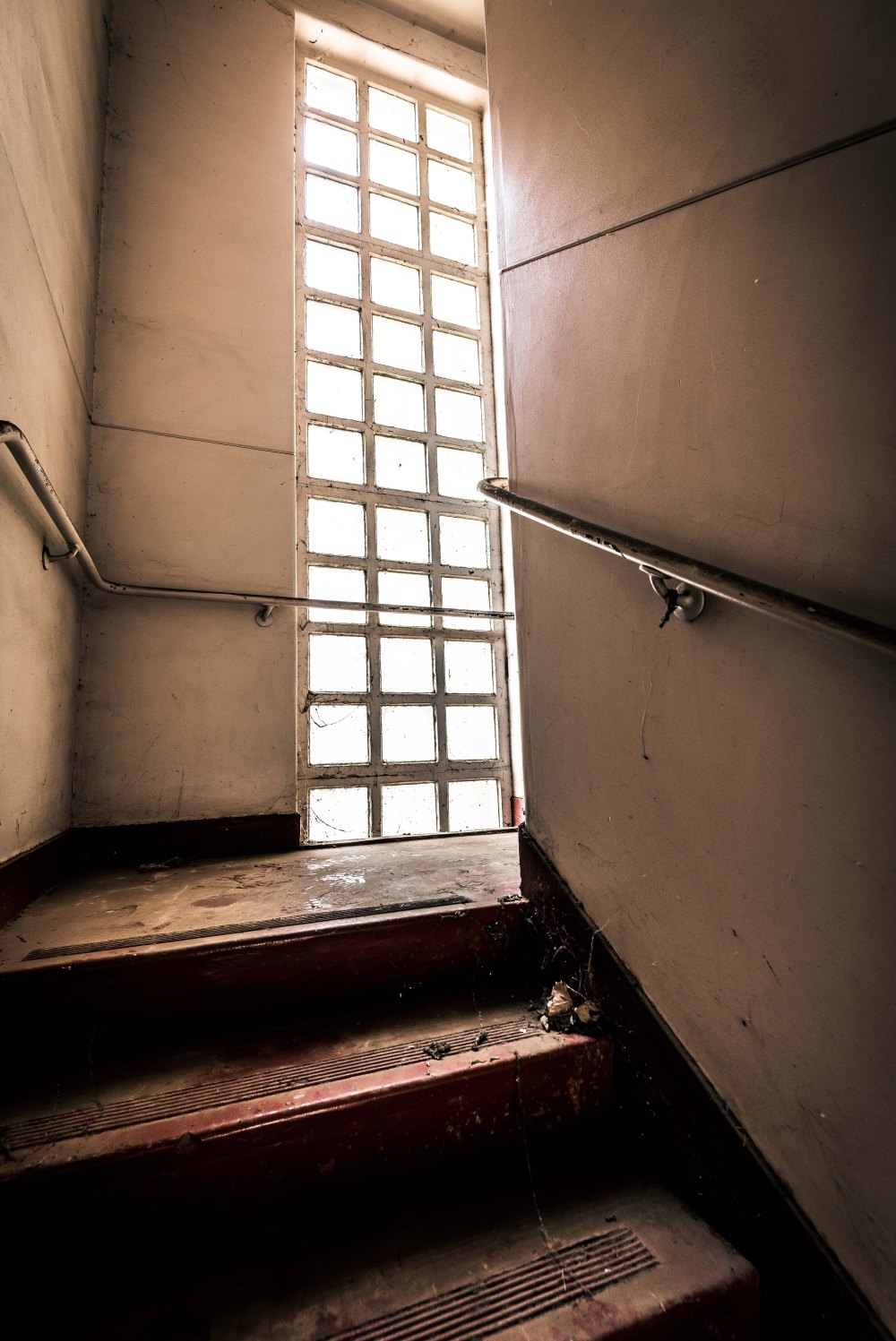 Glenside - Paterson-23