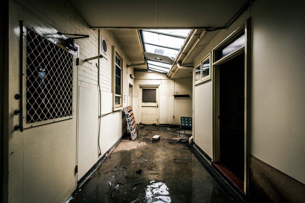 Glenside - Paterson-5